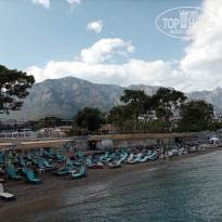 фото из отзыва ID 2736865