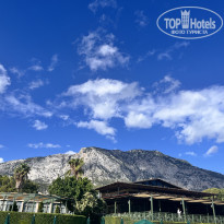 фото из отзыва ID 2736882