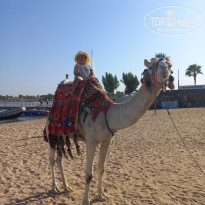 фото из отзыва ID 2736891