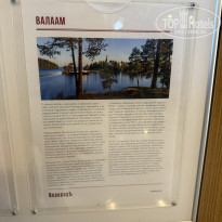 фото из отзыва ID 2736674