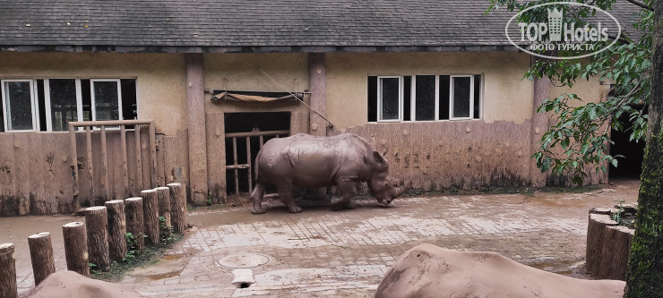 Shengming International Hotel (Chongqing Jiangbei Airport T3 Terminal)