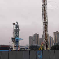 фото из отзыва ID 2736895