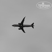 фото из отзыва ID 2736895