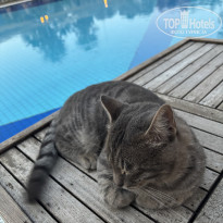 фото из отзыва ID 2736920