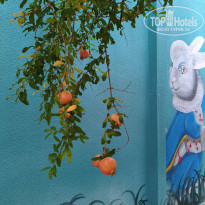 фото из отзыва ID 2736929