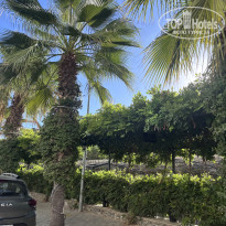 фото из отзыва ID 2736934