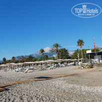 фото из отзыва ID 2736940