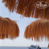 фото из отзыва ID 2736952