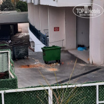 фото из отзыва ID 2736957