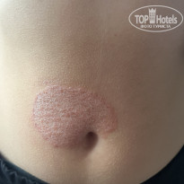 фото из отзыва ID 2736962