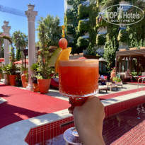 фото из отзыва ID 2736971