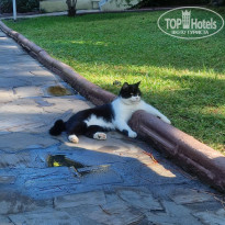 фото из отзыва ID 2736977