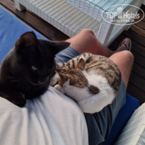 фото из отзыва ID 2736977