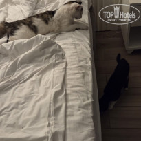 фото из отзыва ID 2736977