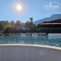 фото из отзыва ID 2736977