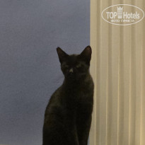 фото из отзыва ID 2736977