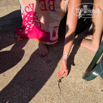 фото из отзыва ID 2736977