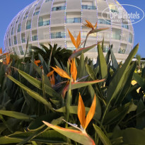 фото из отзыва ID 2736980