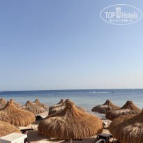 фото из отзыва ID 2736314