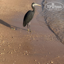 фото из отзыва ID 2736314