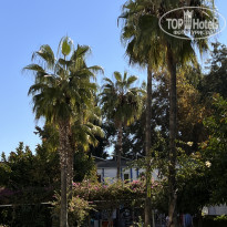 фото из отзыва ID 2736998