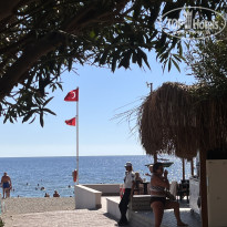 фото из отзыва ID 2736998