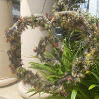 фото из отзыва ID 2737000