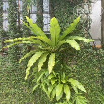 фото из отзыва ID 2737000