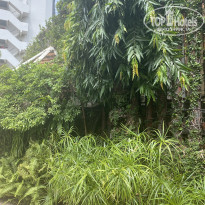 фото из отзыва ID 2737000