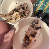 фото из отзыва ID 2737000