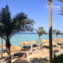 фото из отзыва ID 2737005