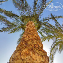 фото из отзыва ID 2737016