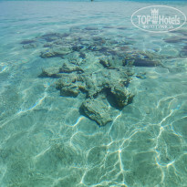 фото из отзыва ID 2737016