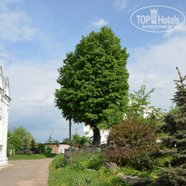 фото из отзыва ID 2730592