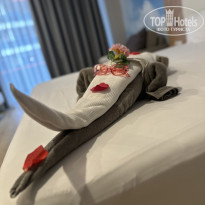 фото из отзыва ID 2737038