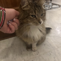 фото из отзыва ID 2737035