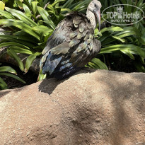 фото из отзыва ID 2737035