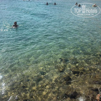 фото из отзыва ID 2737048