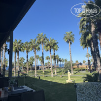 фото из отзыва ID 2736996