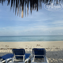 фото из отзыва ID 2737088