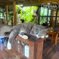 фото из отзыва ID 2737103