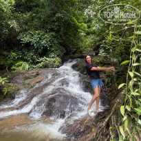 фото из отзыва ID 2737103