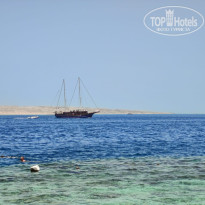 фото из отзыва ID 2737110