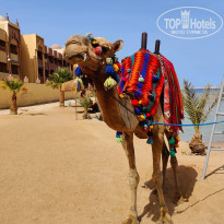 фото из отзыва ID 2737110