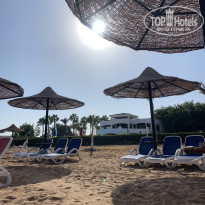 фото из отзыва ID 2737112