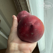 фото из отзыва ID 2737117