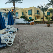 фото из отзыва ID 2737131