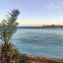 фото из отзыва ID 2737131