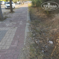 фото из отзыва ID 2737134