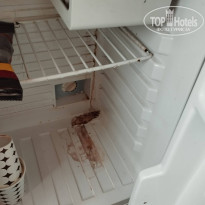 фото из отзыва ID 2737134